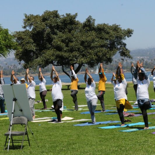 International Yoga Day